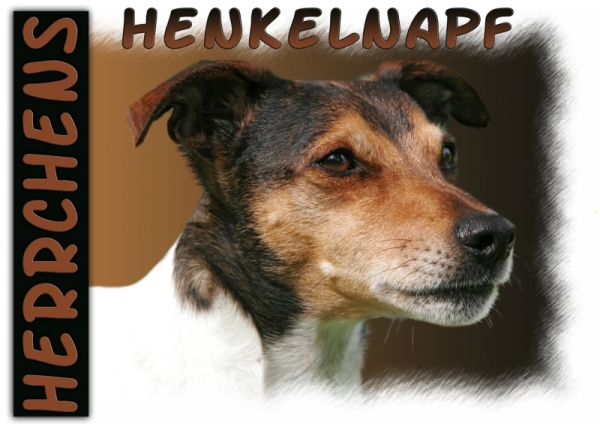 Fototasse Jack Russell Terrier Herrchen/Frauchen