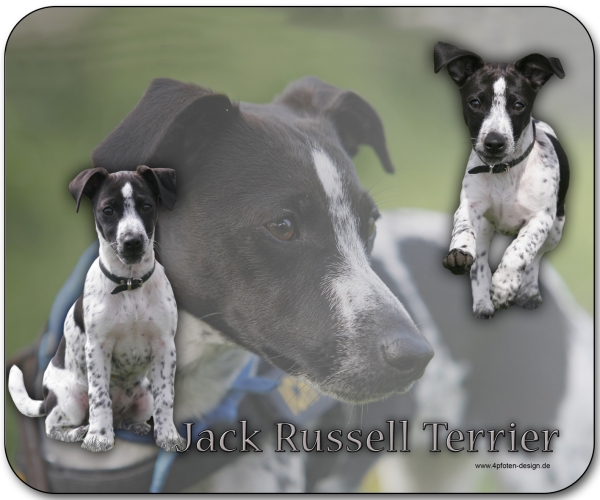 Mousepad Jack Russell Terrier #4