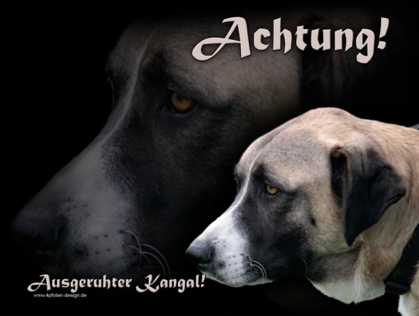 Aluminiumschild Kangal