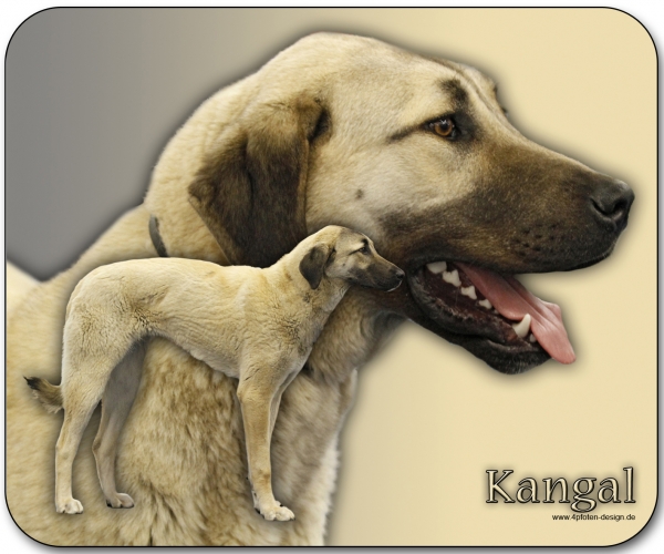 Mousepad Kangal