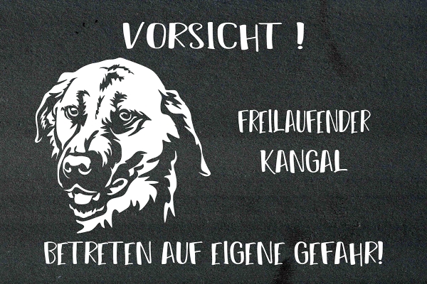 Schieferplatte Kangal