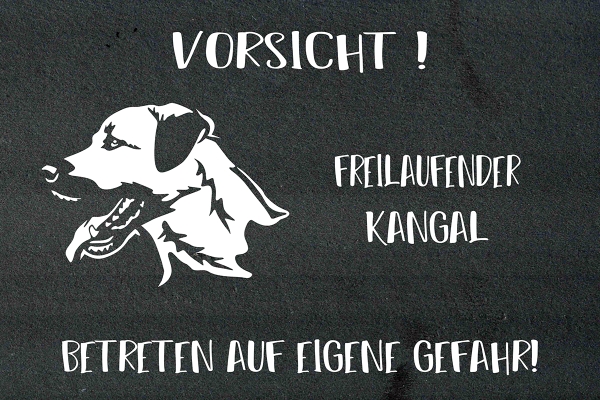 Schieferplatte Kangal