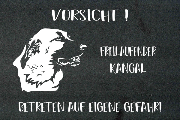 Schieferplatte Kangal