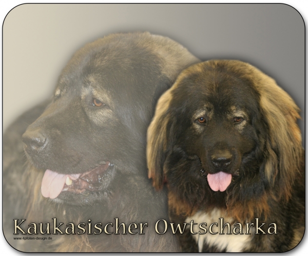 Mousepad Kaukasischer Owtscharka