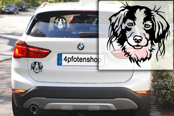 Autoaufkleber "Kooikerhondje" Kopf