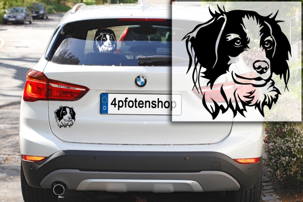 Autoaufkleber "Kooikerhondje" Kopf