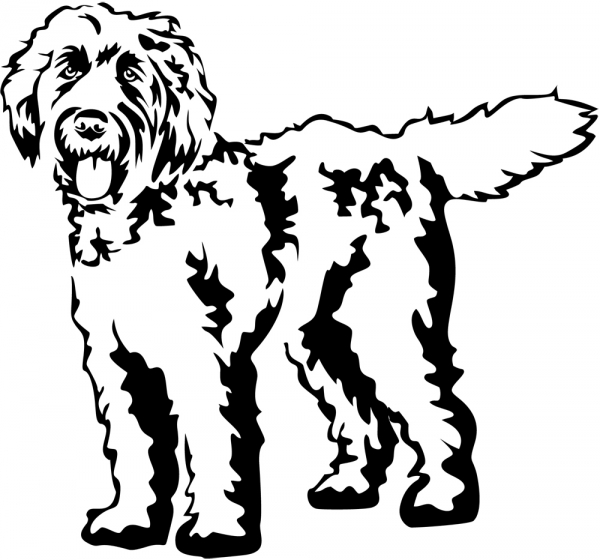 Aufkleber Labradoodle