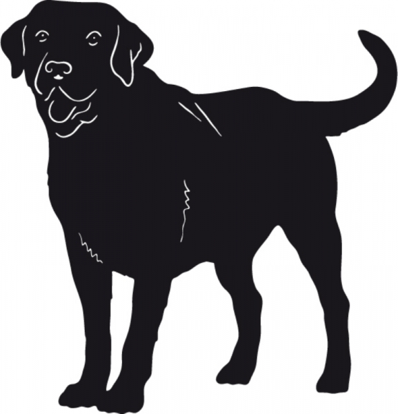 Labrador stehend Silhouette