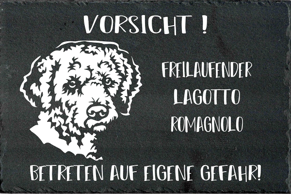 Schieferplatte Lagotto Romagnolo