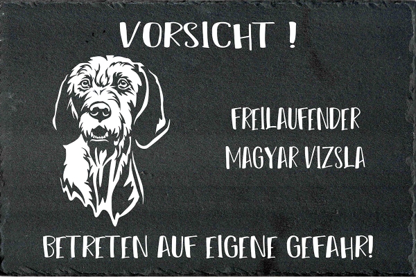 Schieferplatte Magyar Vizsla (Drahthaar)