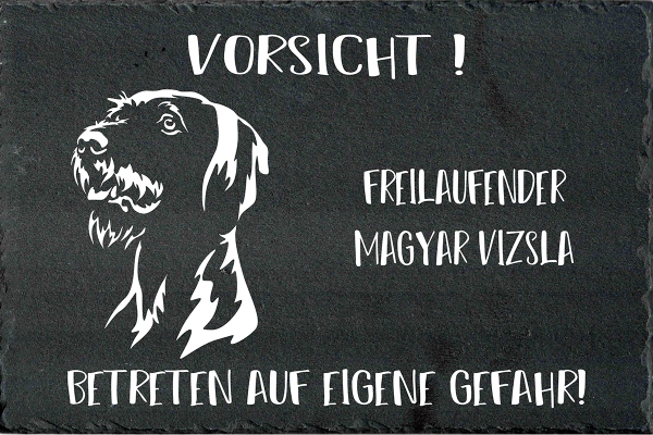 Schieferplatte Magyar Vizsla (Drahthaar)