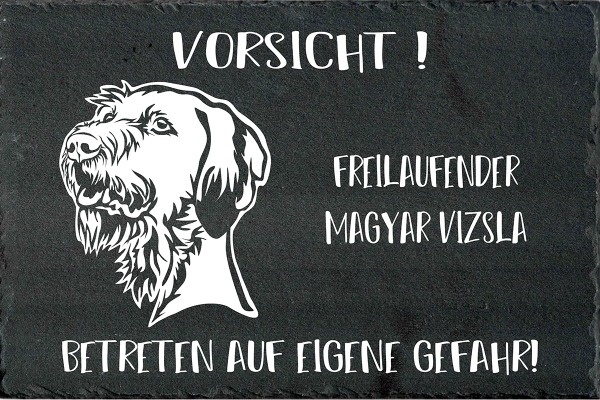 Schieferplatte Magyar Vizsla (Drahthaar)