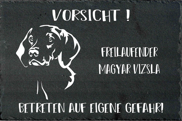 Schieferplatte Magyar Vizsla