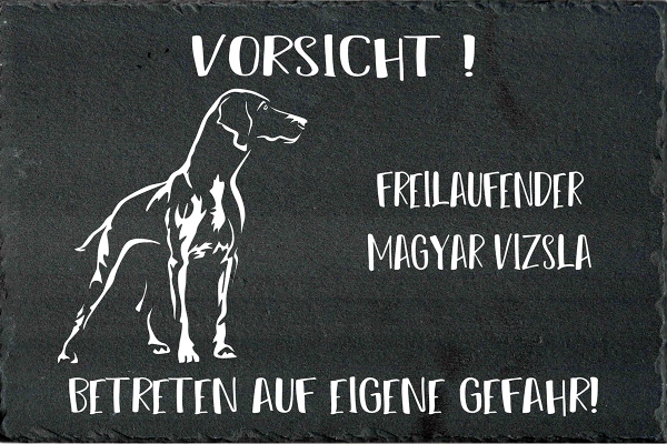 Schieferplatte Magyar Vizsla