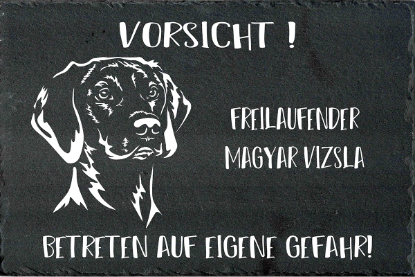 Schieferplatte Magyar Vizsla