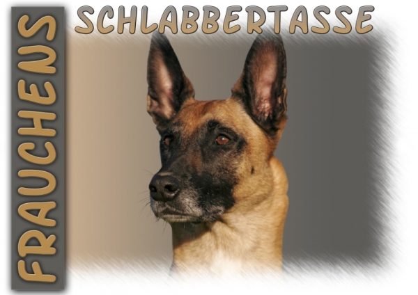 Fototasse Malinois