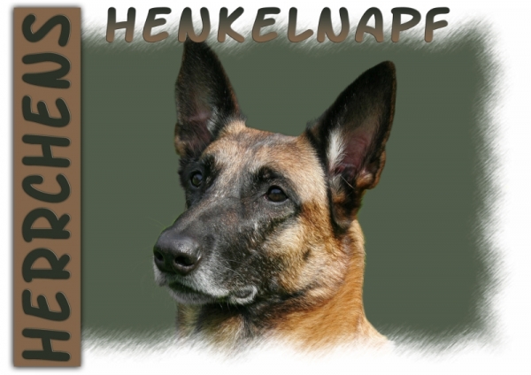 Fototasse Malinois (Belgischer Schäferhund) Herrchen/Frauchen