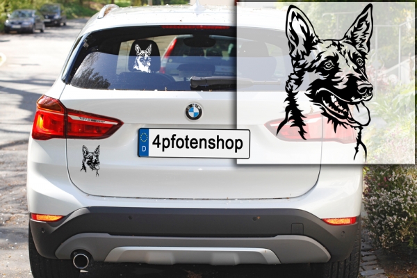 Autoaufkleber "Malinois" Kopf