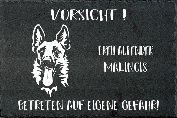 Schieferplatte Malinois