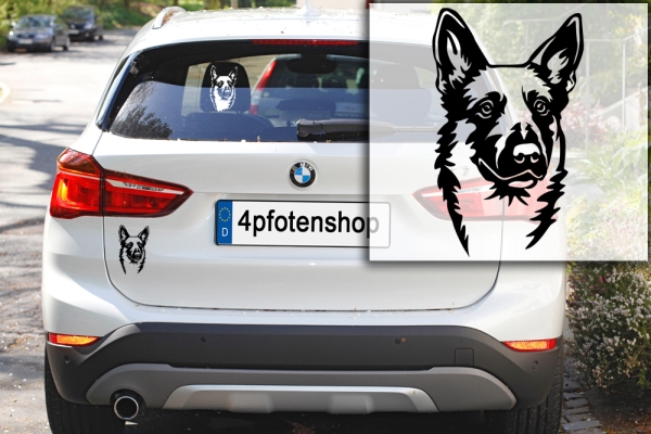 Autoaufkleber "Malinois" Kopf