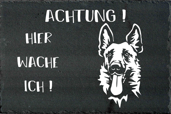 Schieferplatte Malinois