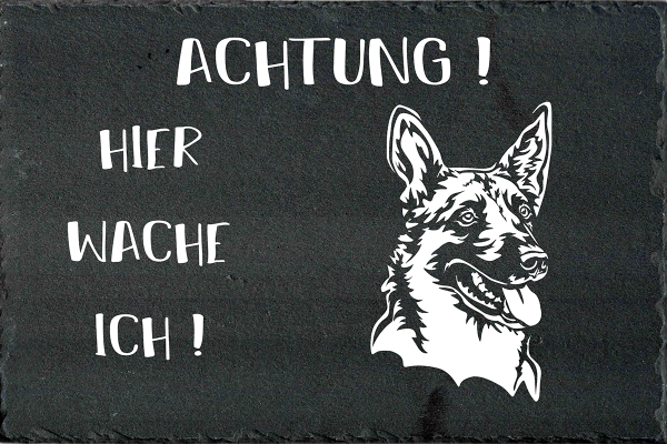 Schieferplatte Malinois