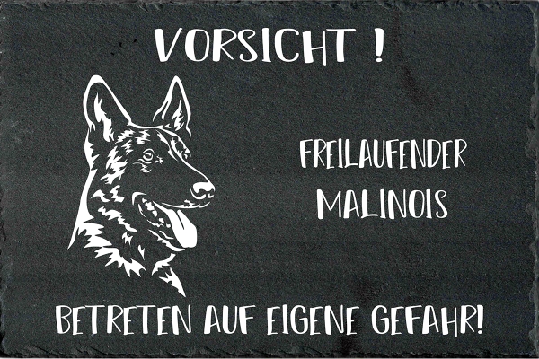 Schieferplatte Malinois