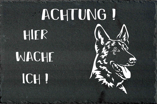 Schieferplatte Malinois