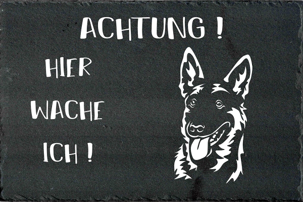 Schieferplatte Malinois