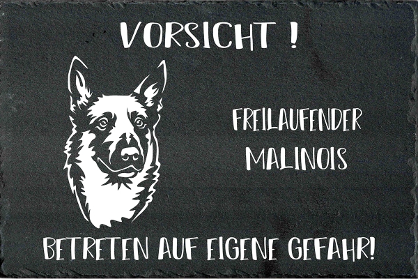 Schieferplatte Malinois