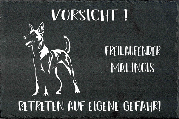 Schieferplatte Malinois