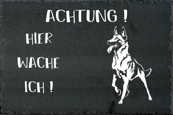 Schieferplatte Malinois