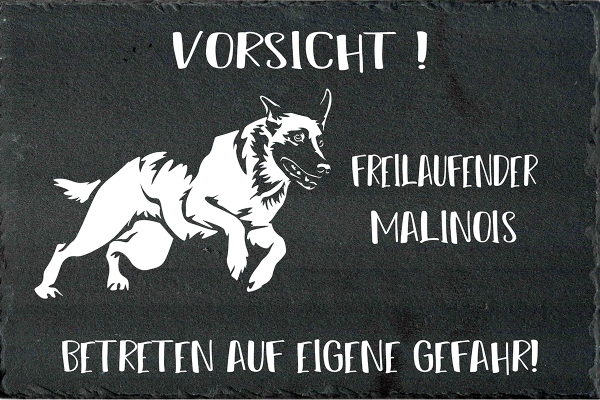 Schieferplatte Malinois