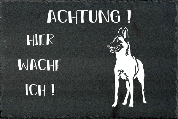 Schieferplatte Malinois