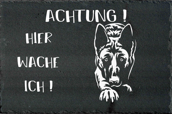 Schieferplatte Malinois