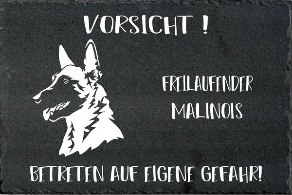 Schieferplatte Malinois