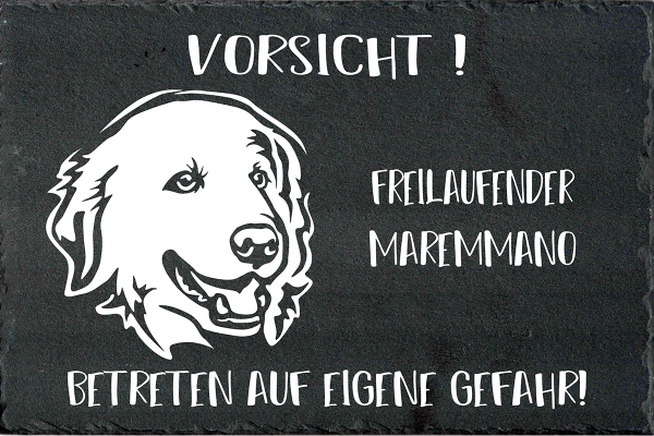 Schieferplatte Maremmen-Abruzzen Schäferhund (Maremmano)