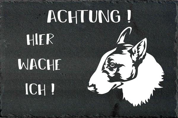 Schieferplatte Bullterrier (Mini)