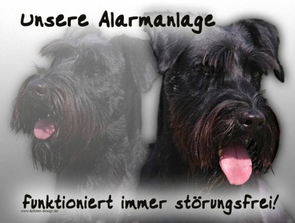 Aluminiumschild Mittelschnauzer