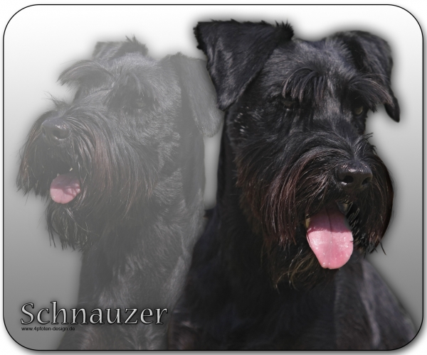 Mousepad Mittelschnauzer