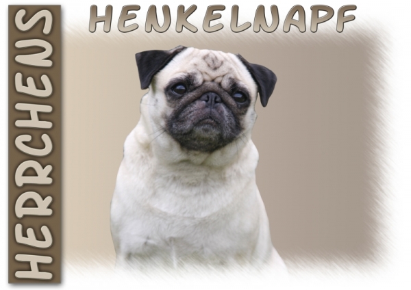 Fototasse Mops Herrchen/Frauchen