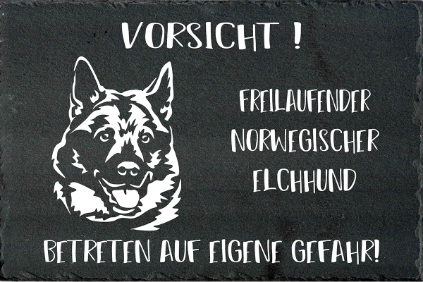 Schieferplatte Norwegischer Elchhund