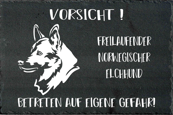 Schieferplatte Norwegischer Elchhund