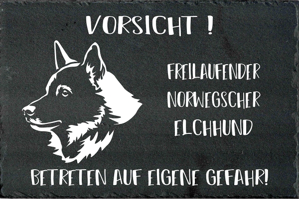 Schieferplatte Norwegischer Elchhund