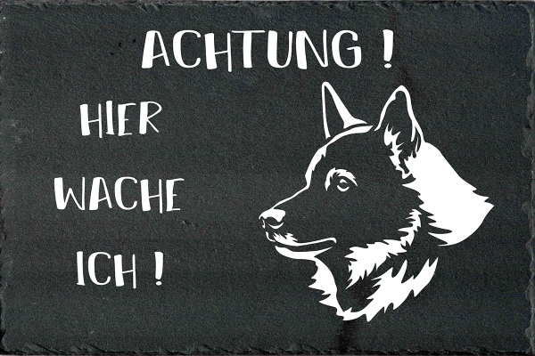 Schieferplatte Norwegischer Elchhund