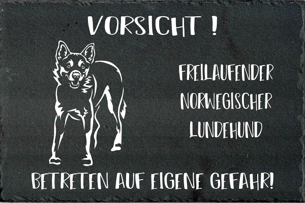 Schieferplatte Norwegischer Lundehund