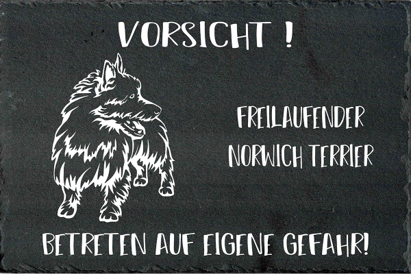 Schieferplatte Norwich Terrier