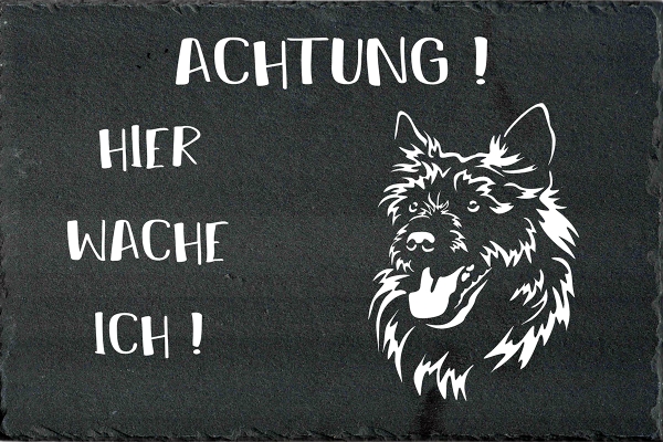 Schieferplatte Norwich Terrier