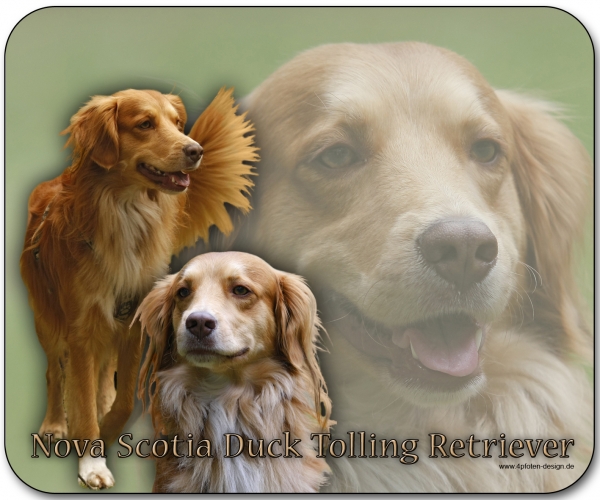 Mousepad Nova Scotia Duck Tolling Retriever