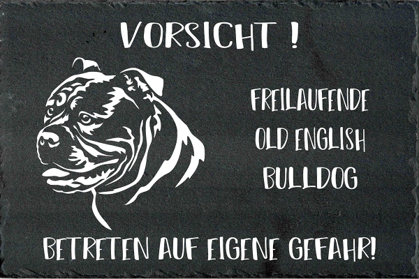 Schieferplatte Old English Bulldog